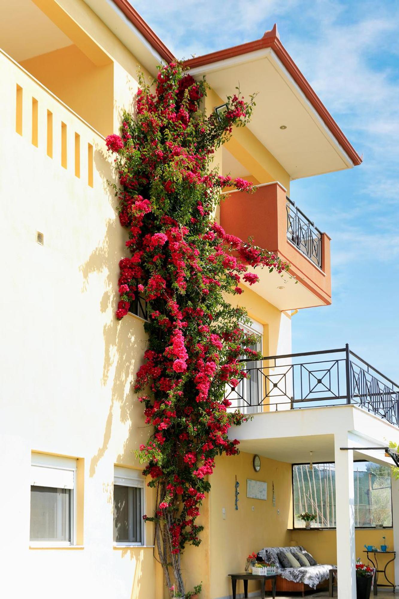Ventus E Paradiso Villa Nikiti Halkidiki ภายนอก รูปภาพ